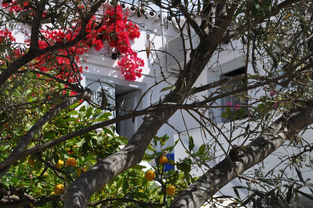 Villa Christina Spetses Town Exterior photo